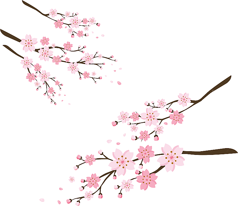 中国风梅花腊梅桃花樱花插画PNG