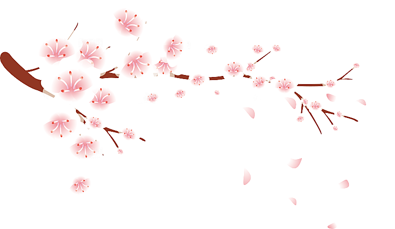 中国风梅花腊梅桃花樱花插画PNG