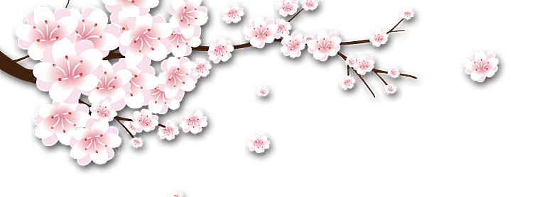 中国风梅花腊梅桃花樱花插画PNG