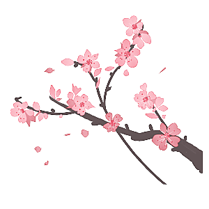 中国风梅花腊梅桃花樱花插画PNG