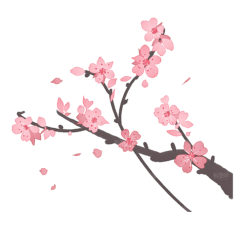 中国风梅花腊梅桃花樱花插画PNG