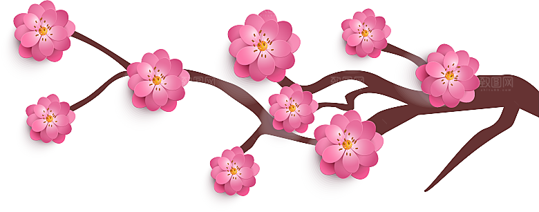 中国风梅花腊梅桃花樱花插画PNG