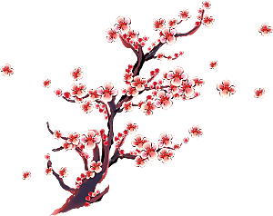 中国风梅花腊梅桃花樱花插画PNG