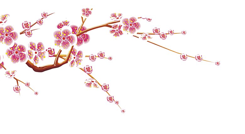 中国风梅花腊梅桃花樱花插画PNG