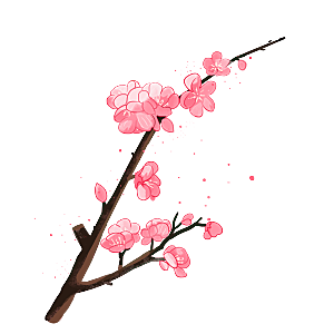 中国风梅花腊梅桃花樱花插画PNG