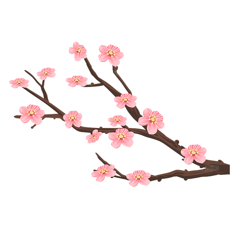 中国风梅花腊梅桃花樱花插画PNG