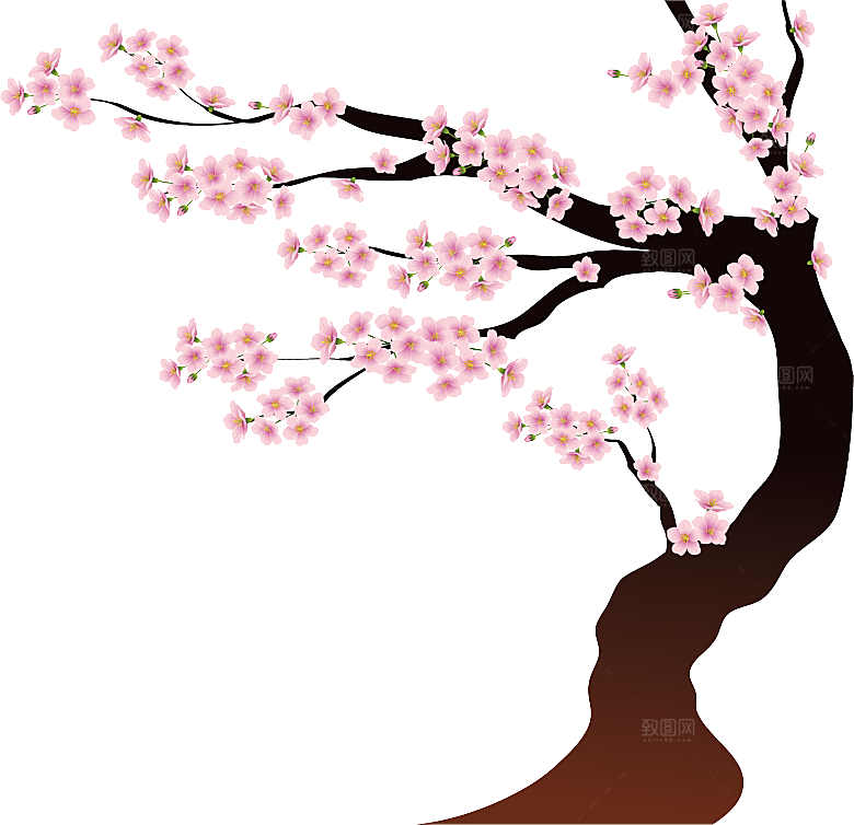 中国风梅花腊梅桃花樱花插画PNG