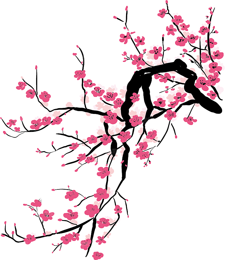 中国风梅花腊梅桃花樱花插画PNG素材