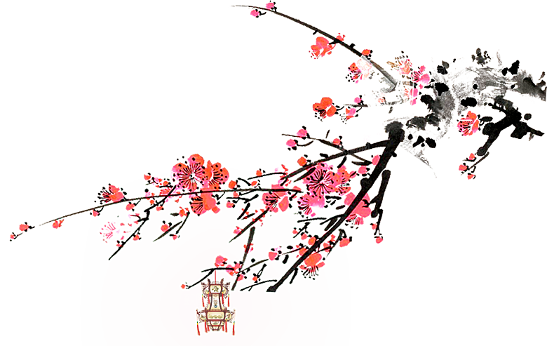 中国风梅花腊梅桃花樱花插画PNG素材