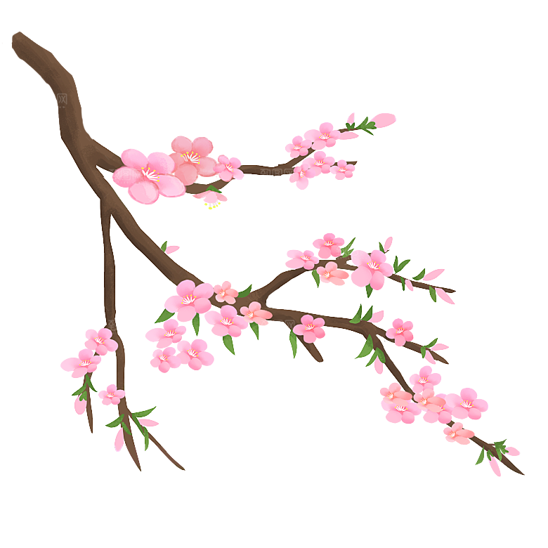 中国风梅花腊梅桃花樱花插画PNG素材