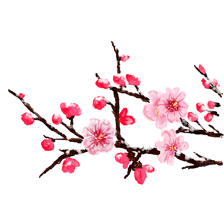中国风梅花腊梅桃花樱花插画PNG素材