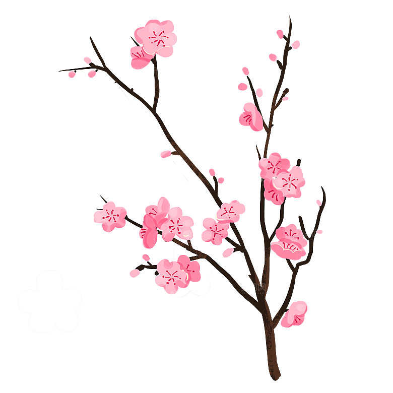 中国风梅花腊梅桃花樱花插画PNG素材