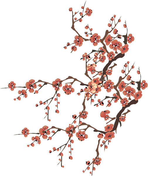 中国风梅花腊梅桃花樱花插画PNG素材