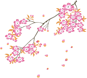 中国风梅花腊梅桃花樱花插画PNG