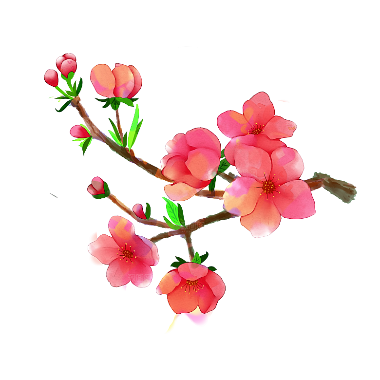 中国风梅花腊梅桃花樱花插画PNG