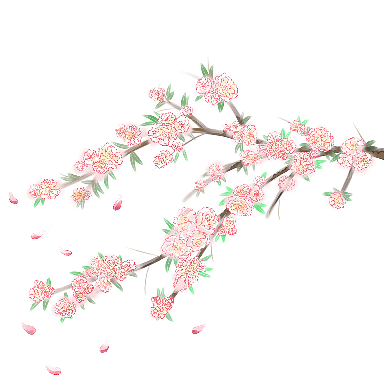 中国风梅花腊梅桃花樱花插画PNG