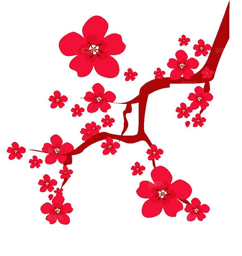 中国风梅花腊梅桃花樱花插画PNG