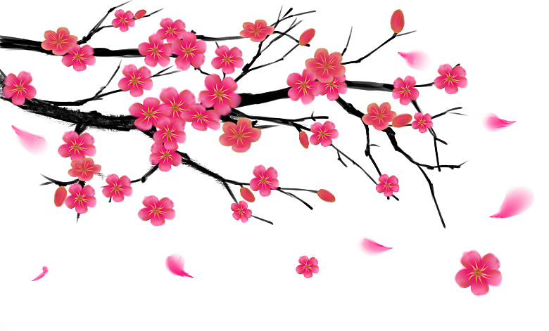 中国风梅花腊梅桃花樱花插画PNG
