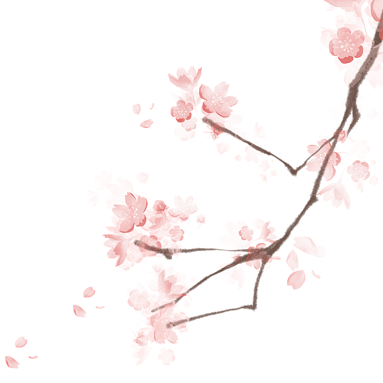 中国风梅花腊梅桃花樱花插画PNG