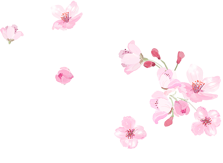 中国风梅花腊梅桃花樱花插画PNG