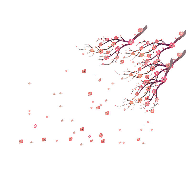 中国风梅花腊梅桃花樱花插画PNG素材