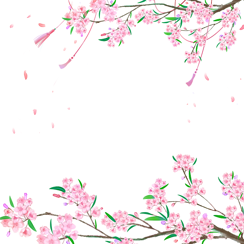 中国风梅花腊梅桃花樱花插画PNG素材