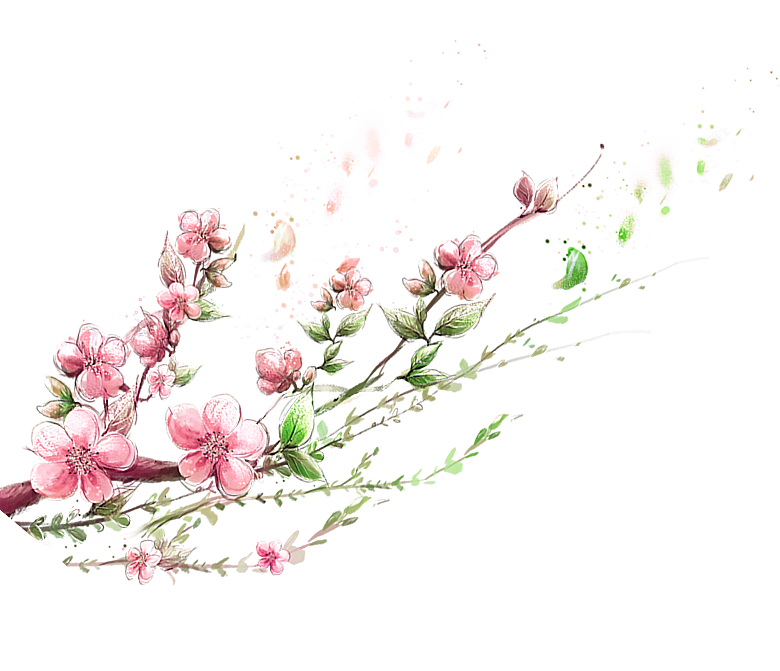 中国风梅花腊梅桃花樱花插画PNG素材