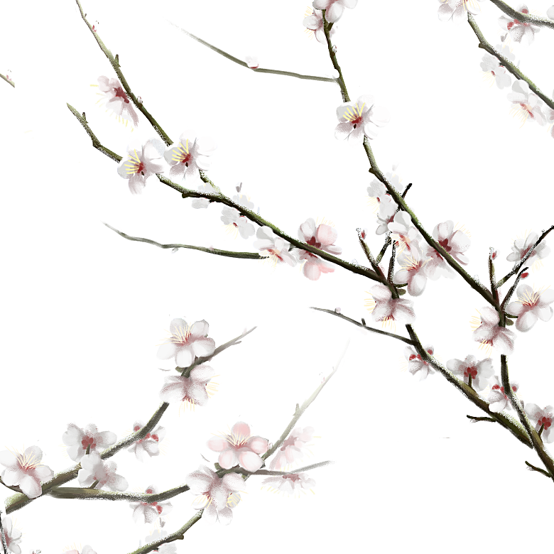 中国风梅花腊梅桃花樱花插画PNG素材