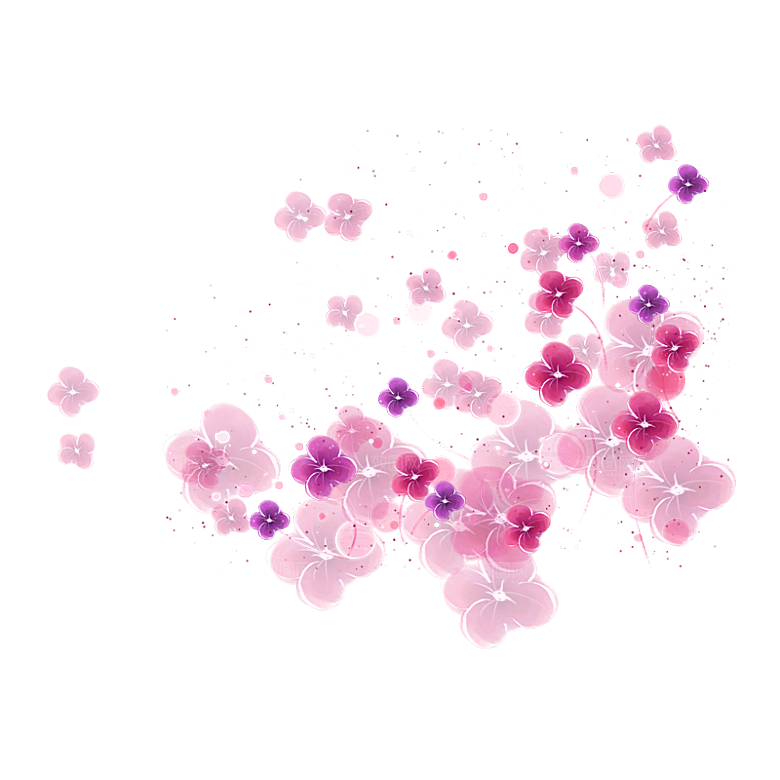 中国风梅花腊梅桃花樱花插画PNG