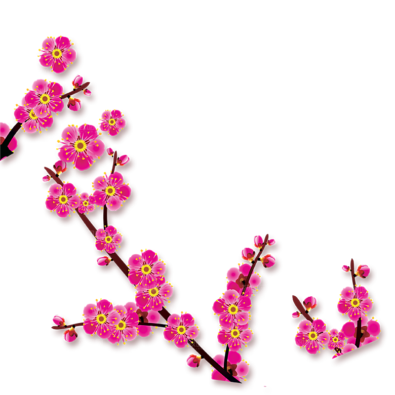 中国风梅花腊梅桃花樱花插画PNG