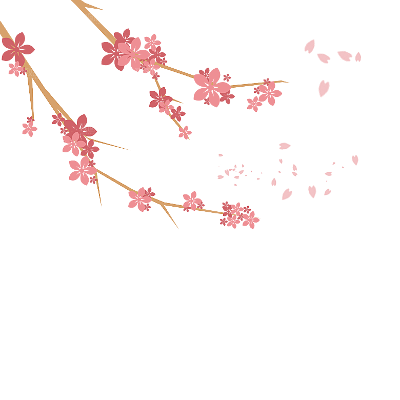 中国风梅花腊梅桃花樱花插画PNG