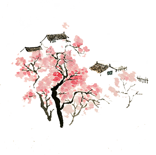 中国风梅花腊梅桃花樱花插画PNG