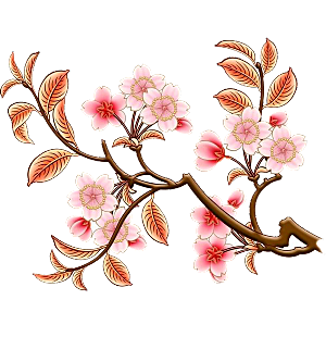 中国风梅花腊梅桃花樱花插画PNG