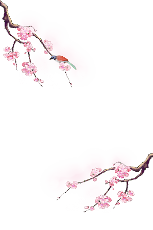 中国风梅花腊梅桃花樱花插画PNG