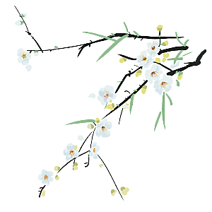 中国风梅花腊梅桃花樱花插画PNG