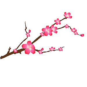 中国风梅花腊梅桃花樱花插画PNG