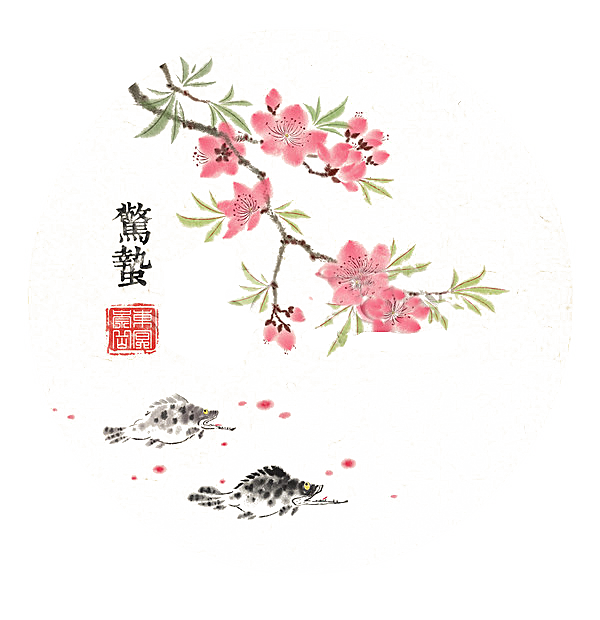 中国风梅花腊梅桃花樱花插画PNG