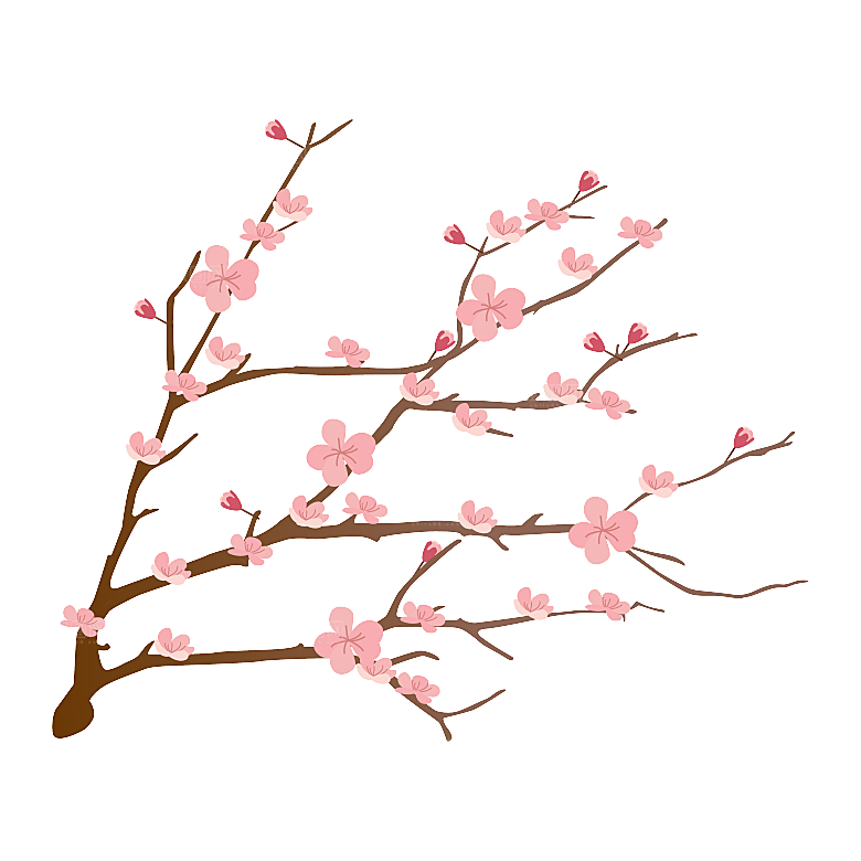 中国风梅花腊梅桃花樱花插画PNG图片