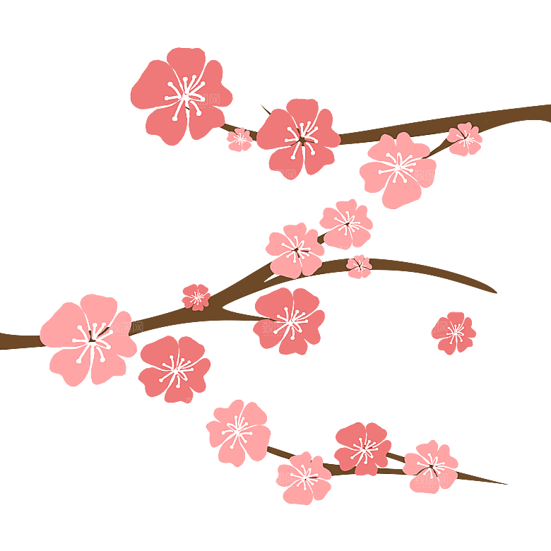 中国风梅花腊梅桃花樱花插画PNG图片