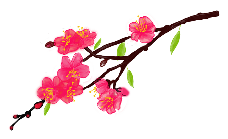 中国风梅花腊梅桃花樱花插画PNG图片