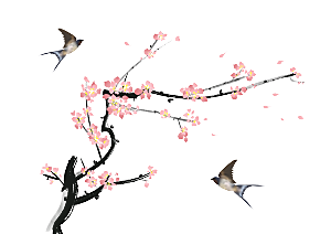 中国风梅花腊梅桃花樱花插画PNG图片
