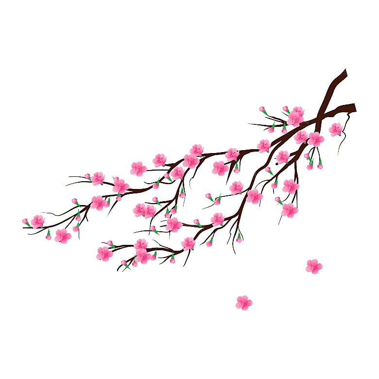 中国风梅花腊梅桃花樱花插画PNG图片
