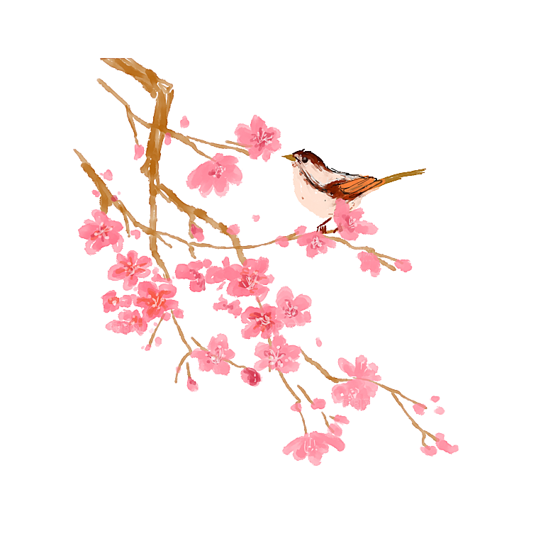 中国风梅花腊梅桃花樱花插画PNG图片