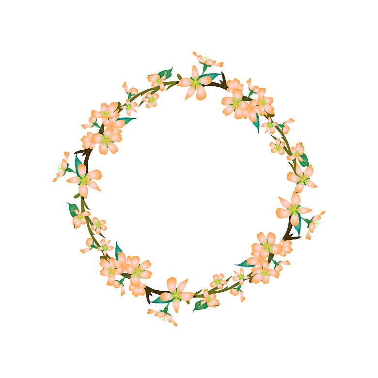 中国风梅花腊梅桃花樱花插画PNG图片