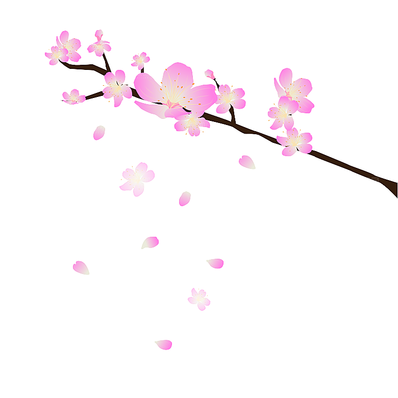 中国风梅花腊梅桃花樱花插画PNG图片