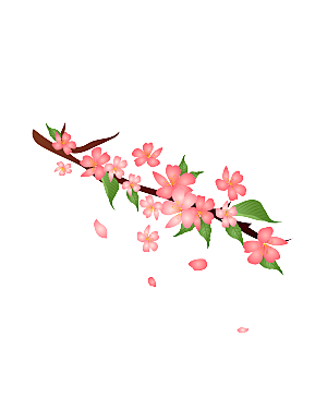 中国风梅花腊梅桃花樱花插画PNG图片