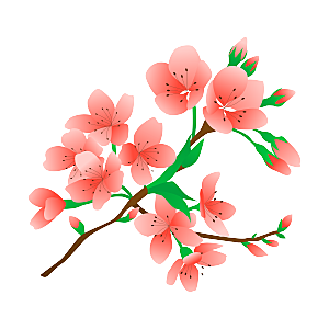 中国风梅花腊梅桃花樱花插画PNG图片