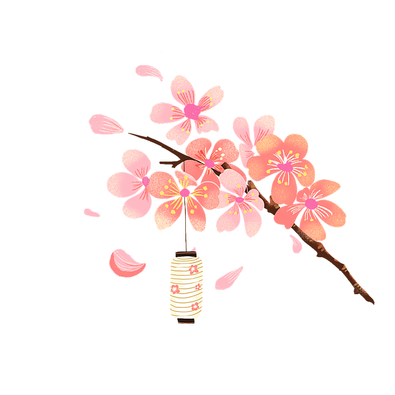 中国风梅花腊梅桃花樱花插画PNG图片