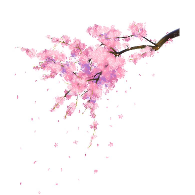 中国风梅花腊梅桃花樱花插画PNG图片素材