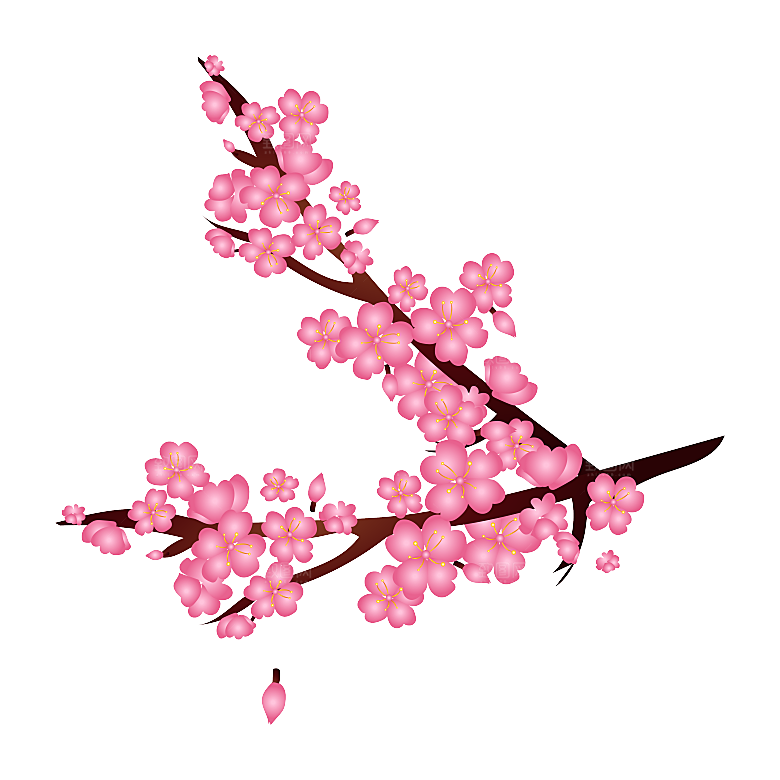 中国风梅花腊梅桃花樱花插画PNG图片素材